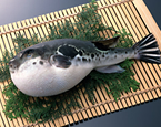 河豚